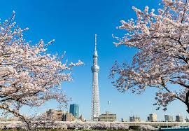 Nhật Bản: Tokyo - Nagoya - Kyoto - Osaka - Kansai